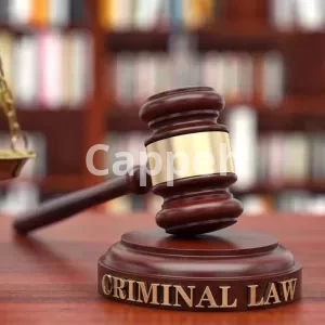 Criminal defense lawyer in canada