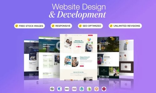 I will build a wordpress business website or shopify website for your business