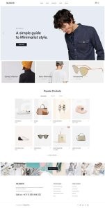 I will build professional ecommerce store or shopify website