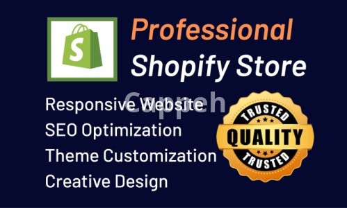 I will shopify website design and redesign