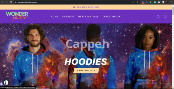 I will setup shopify etsy print on demand store or website using printful