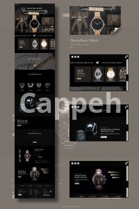 I will design or clone shopify landing page with replo, pagefly or gempages