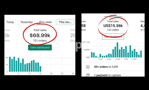 I will build a 10k per month branded shopify dropshipping store