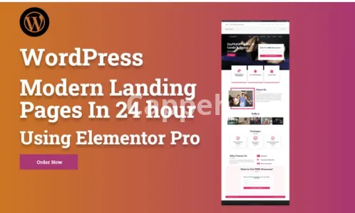 I will create modern wordpress landing page in 24 hour