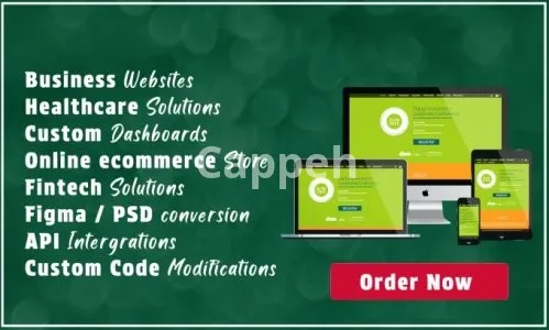 I will do full stack angular frontend and c sharp dot net backend website development