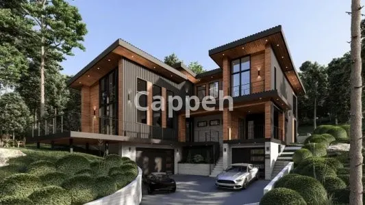 I will create sketchup 3d model and architectural render for exterior , interior