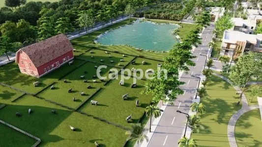 I will do masterplan site plan landscape 2d 3d rendering, animation