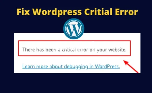 I will fix critical error wordpress website without losing content