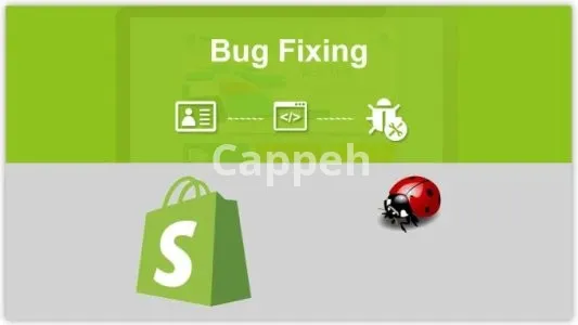 I will do shopify bug fixing liquid code jquery,ajax, everything