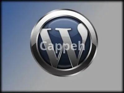 I will customize wordpress, fix wp error, edit theme,template, css, plugins