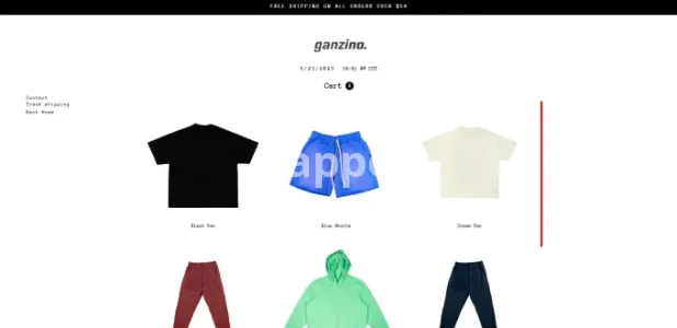 I will build a streetwear y2k shopify website for your clothing brand