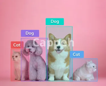 I will develop ai models for object detection, segmentation