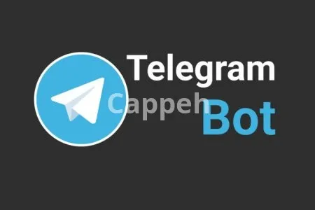 I will make custom telegram bot using python