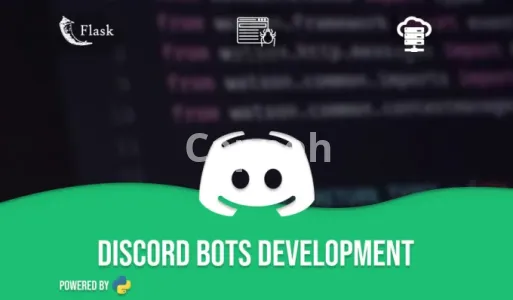 I will create custom discord bots and automation solutions