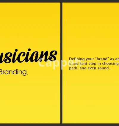 I will do professional musician branding and websites
