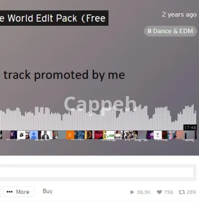 I will offer soundcloud promotion through reposts