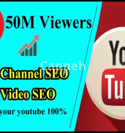 I will make your youtube video seo professional