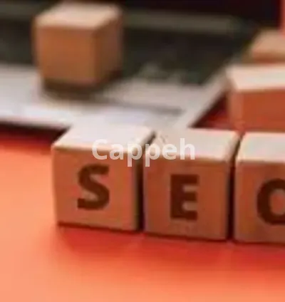 I will provding seo service at reseasonable price