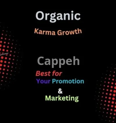 I will increase your reddit karma to engage high traffic