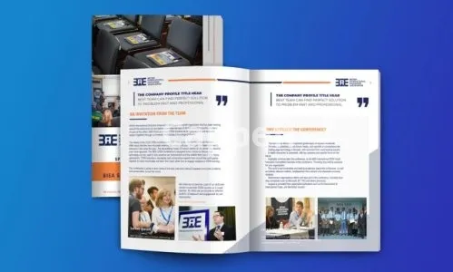 I will design a professional company profile, catalog and booklet