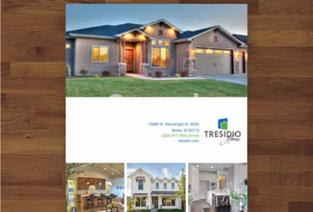 I will design a great print ad for magazine or newspaper