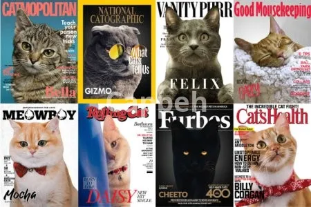 I will create magazine cover of your pet, personalized pet posters
