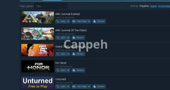 I will boost your steam hours of playing in 5 games