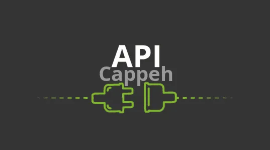 I will do API integration and development