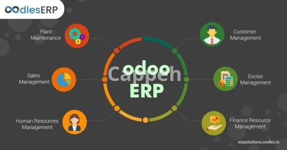 I will customize odoo modules , integrations , implementation