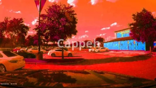 I will forensic image and video enhancement