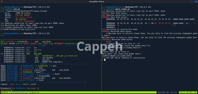 I will solve any capture the flag ctf challenge