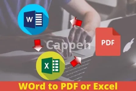 I will pdf conversion in 12 hours