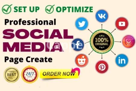 I will create all social media accounts professionally and set up business pages