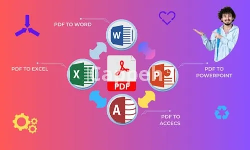I will convert pdf to word, excel, pdf conversion and typing job