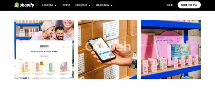 I will help or teach you shopify e commerce step by step