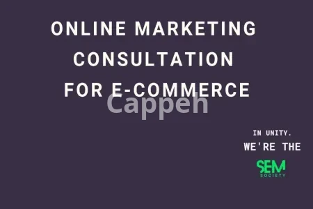 Our agency will offer comprehensive online marketing solutions for ecommerce
