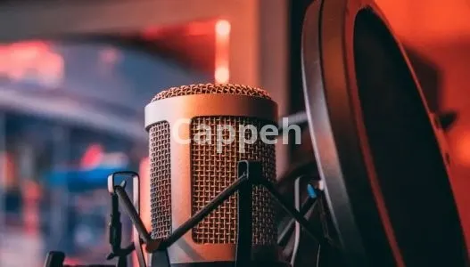 I will record chinese male voiceover 500 words