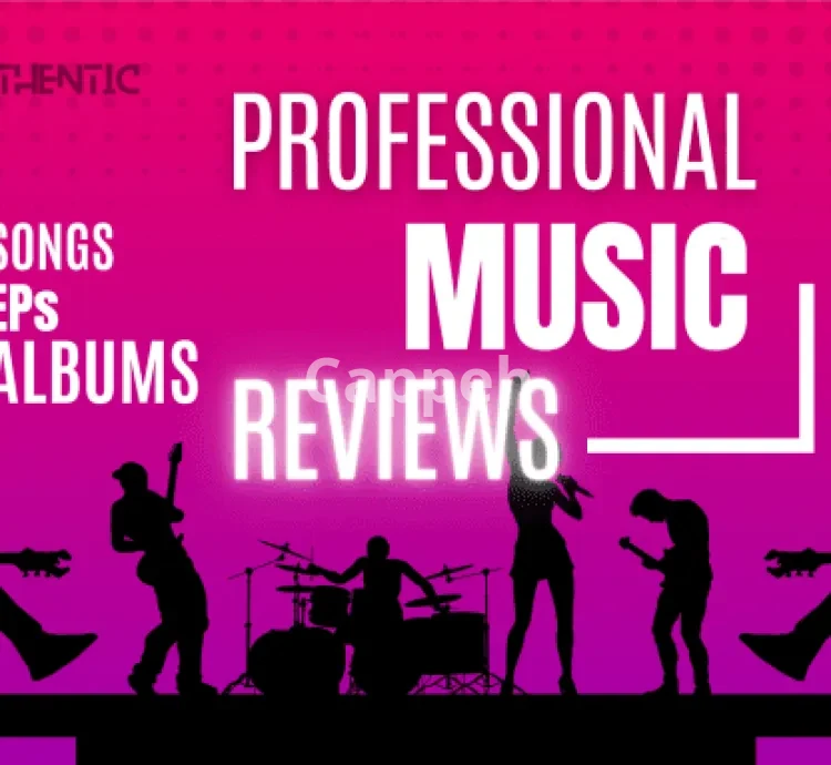 I will write a professional review for your song or album