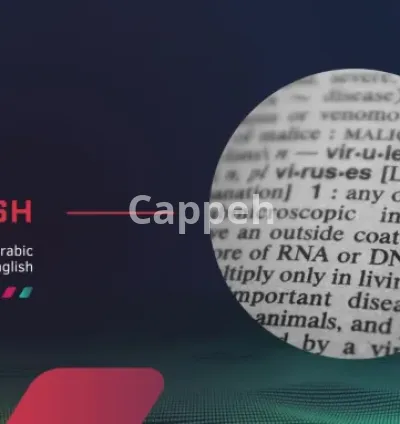 I will add subtitles to your video in english or arabic