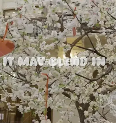 I will create an animated lyric video