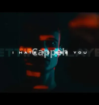 I will produce a live action lyric video for your song