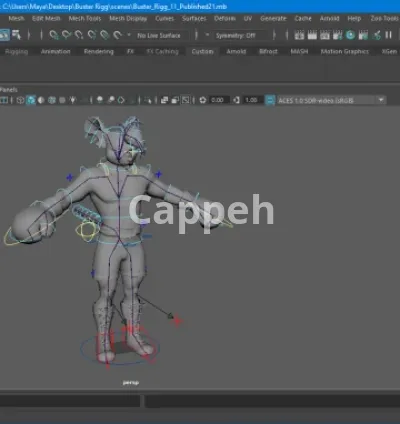 I will rigg all kinds of maya characters and model