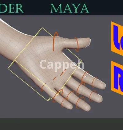 I will rig your 3d model in 3ds max, maya and blender