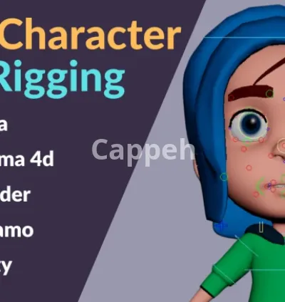 I will do 3d character rigging in maya, cinema 4d, blender, mixamo, unity