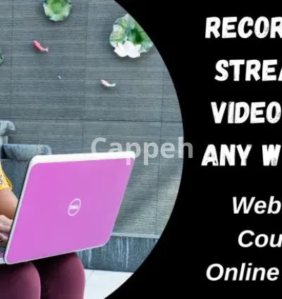 I will record any online streaming videos for you