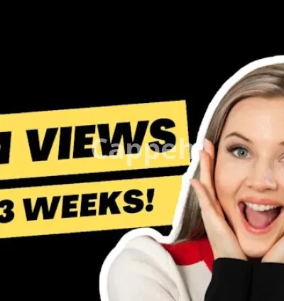 I will do super fast organic youtube video promotion and channel promotion