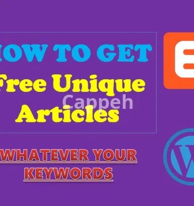 I will teach you by skype how to find unlimited free unique articles for any blog