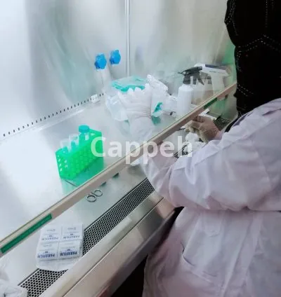 I will write medical content, power point presentations and medical related articles