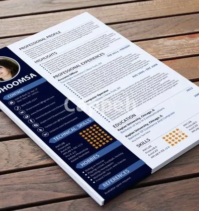 I will do a professional resume writing services