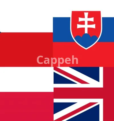 I will translate anything between english, czech, polish and slovak